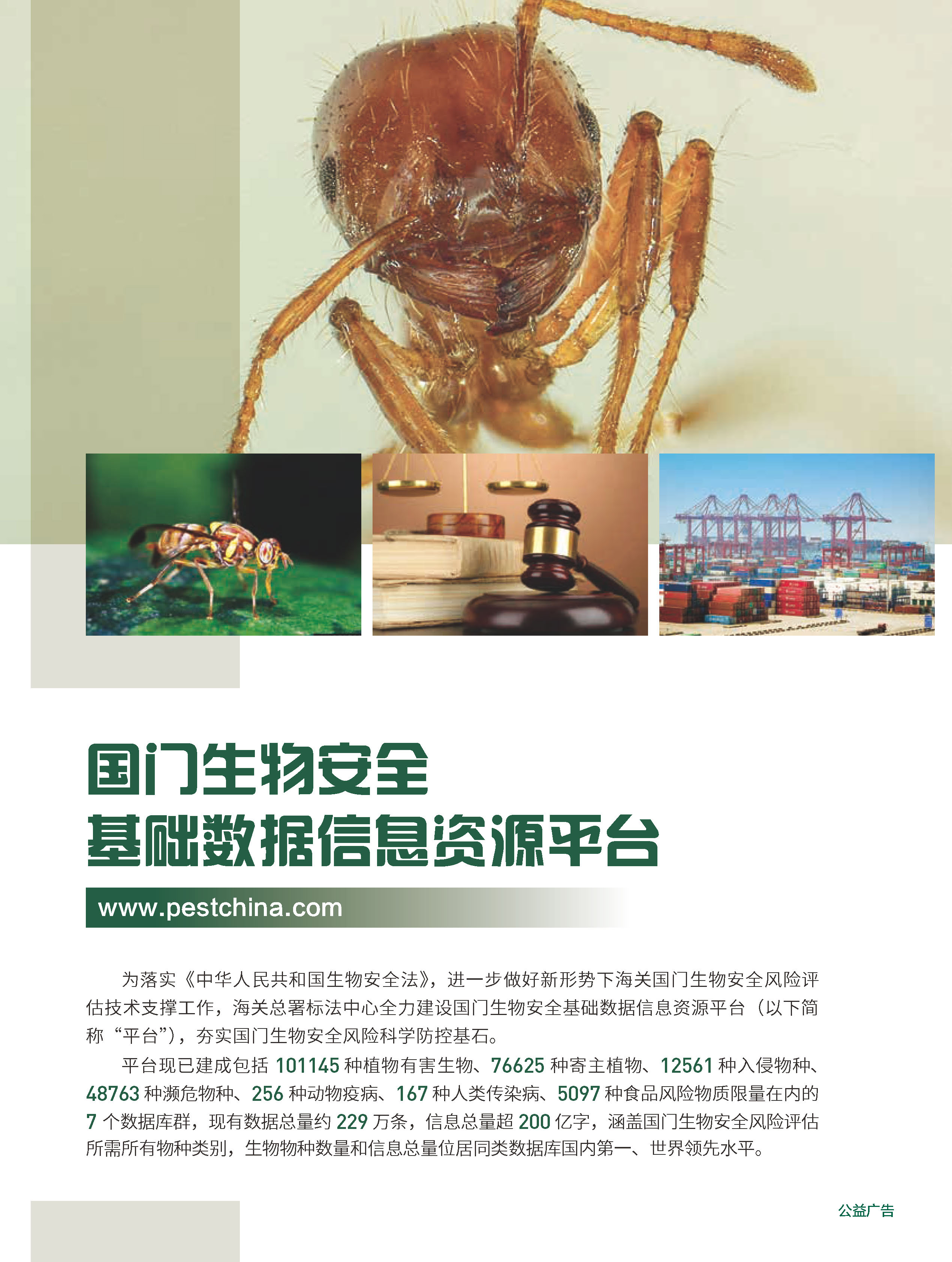 2026年第3期技术性贸易措施导刊 第6页