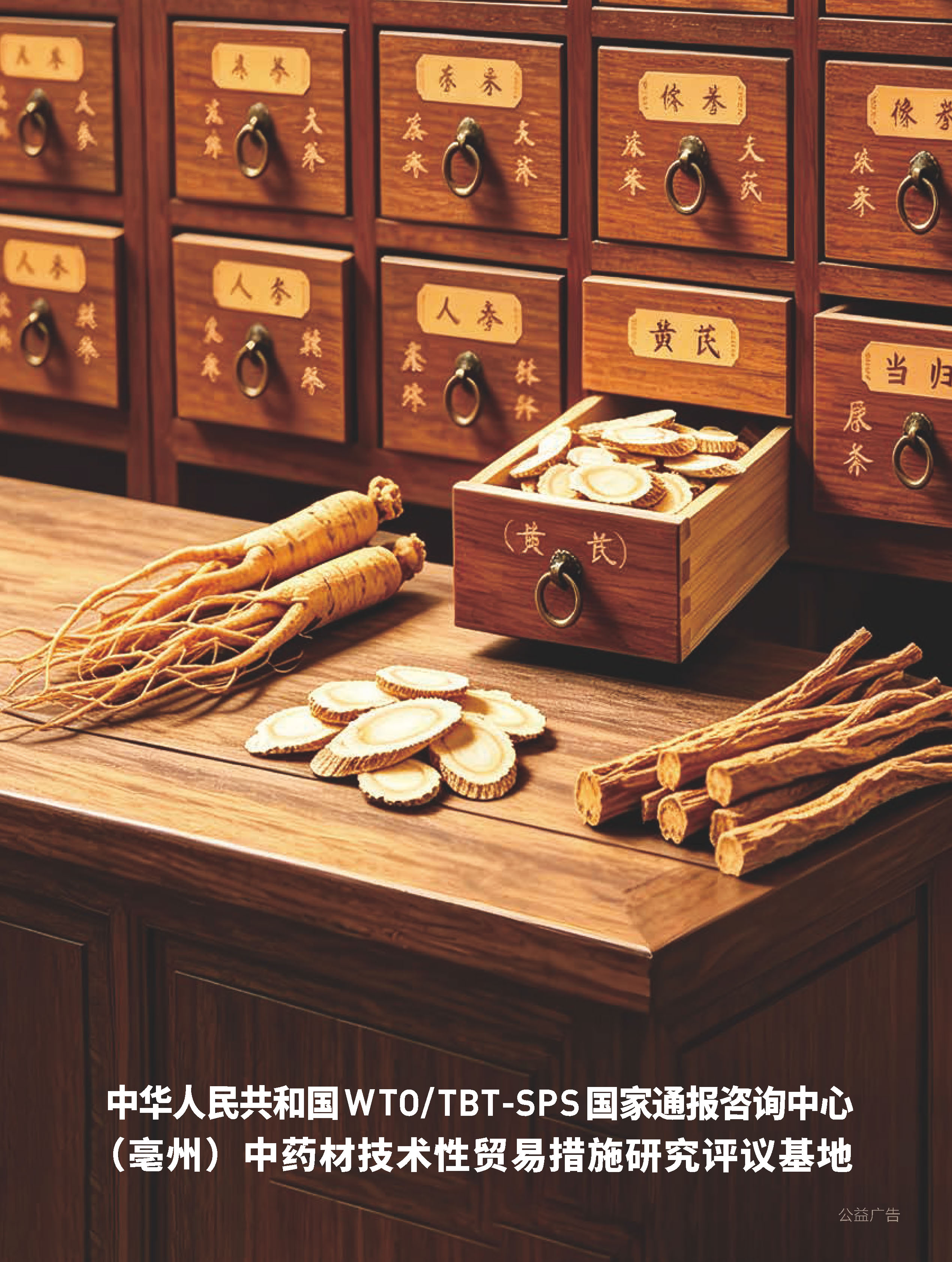 2026年第3期技术性贸易措施导刊 第100页