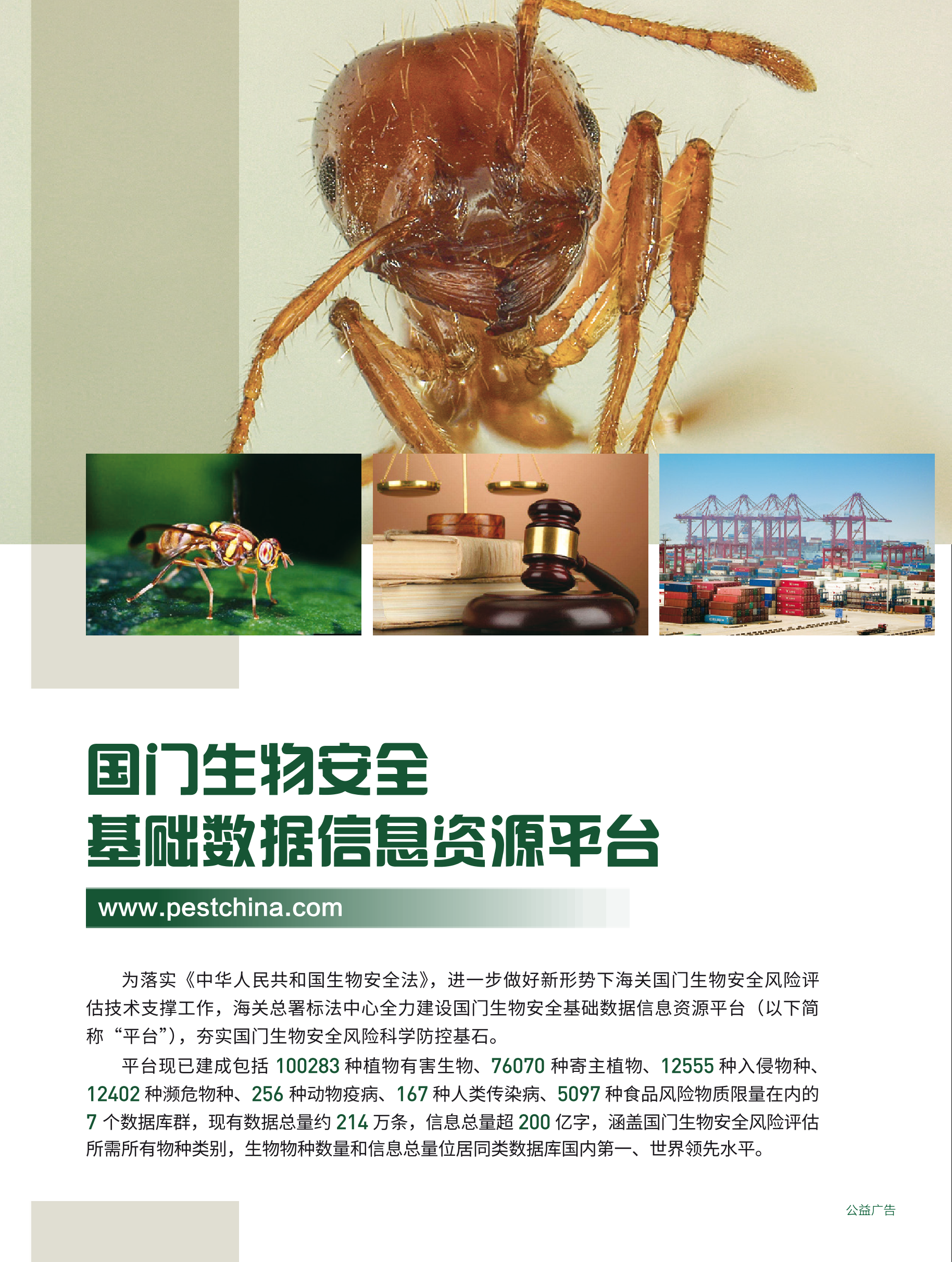 2026年第1期技术性贸易措施导刊 第6页