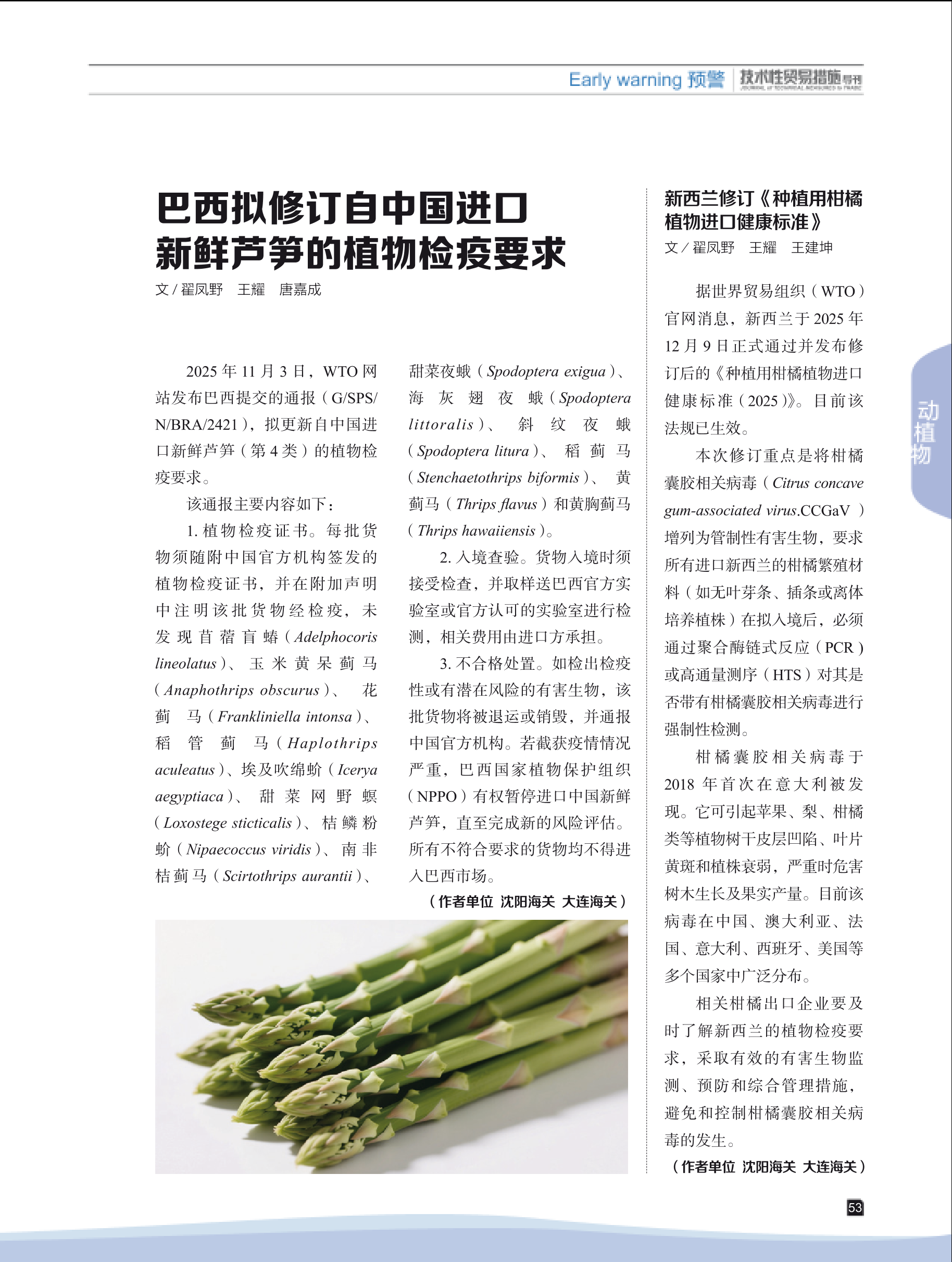 2026年第1期技术性贸易措施导刊 第55页