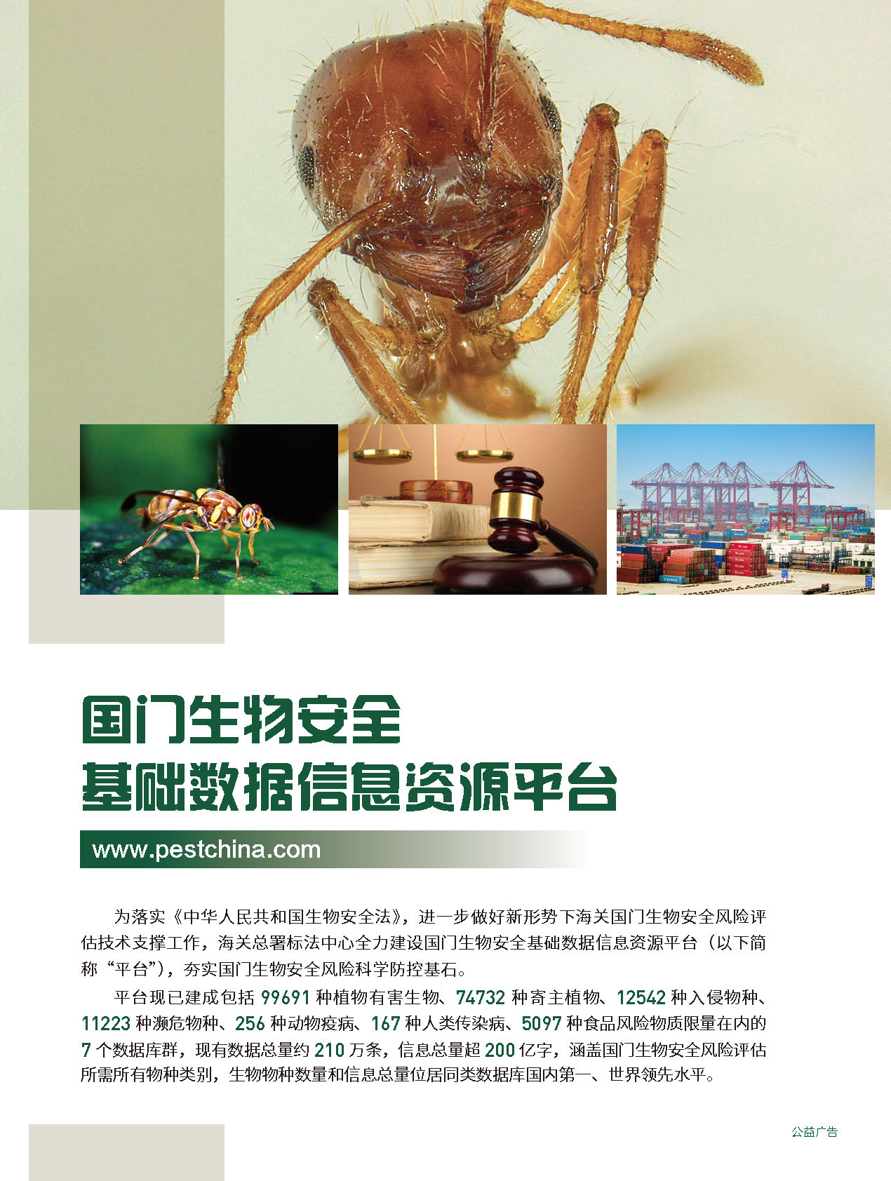 2025年第6期技术性贸易措施导刊 第6页