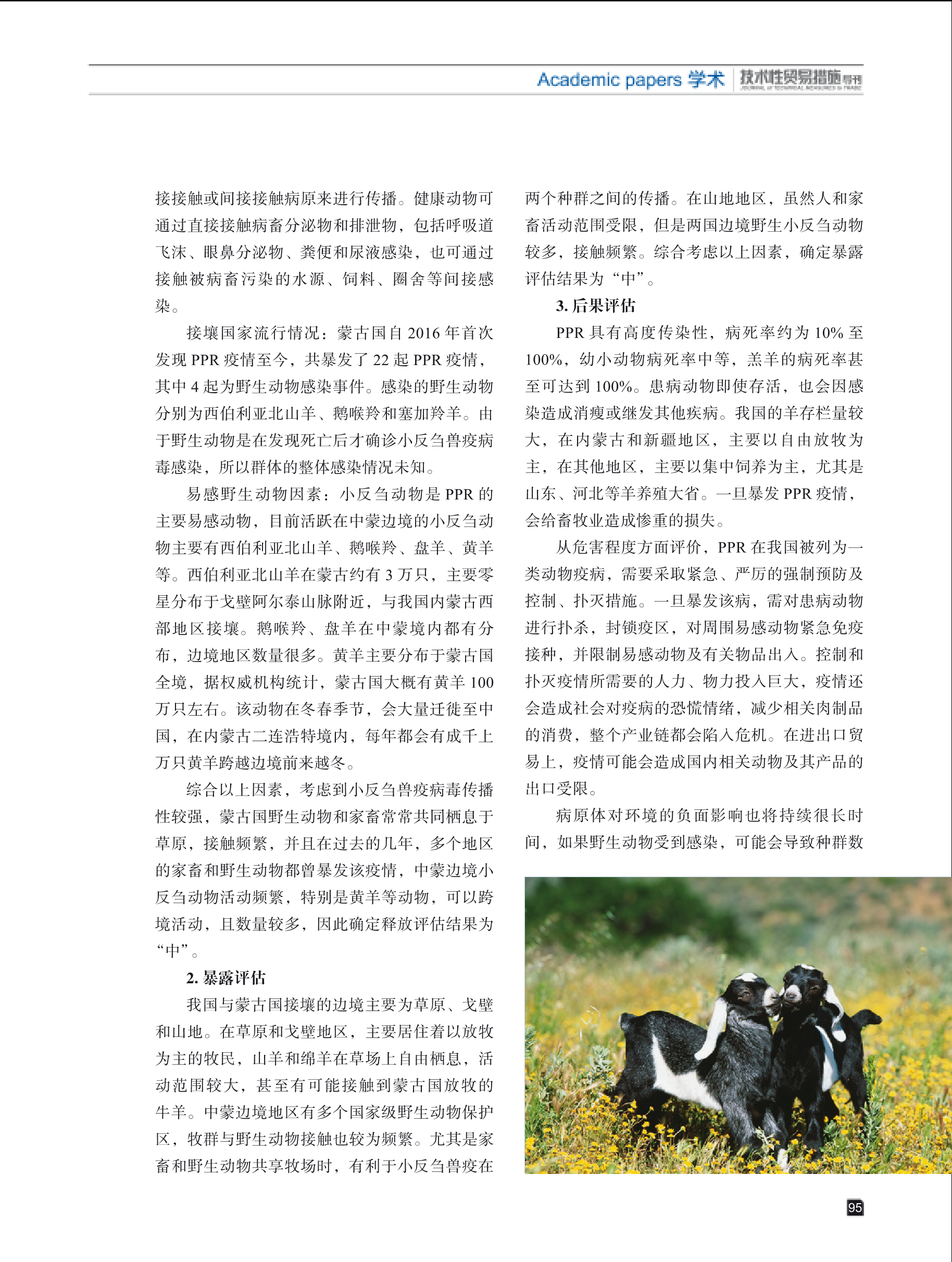 2025年第5期技术性贸易措施导刊 第97页