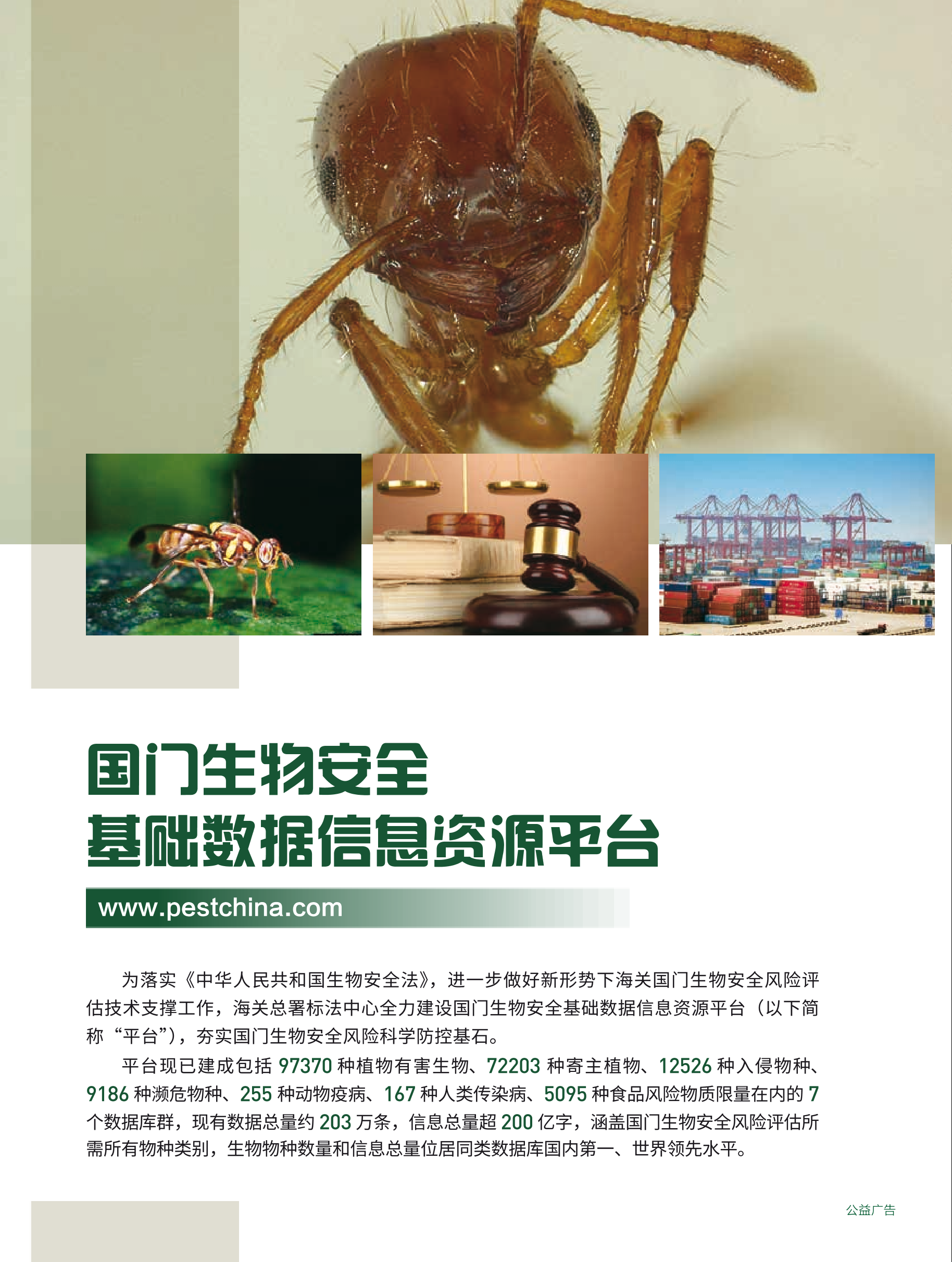 2025年第4期技术性贸易措施导刊 第6页