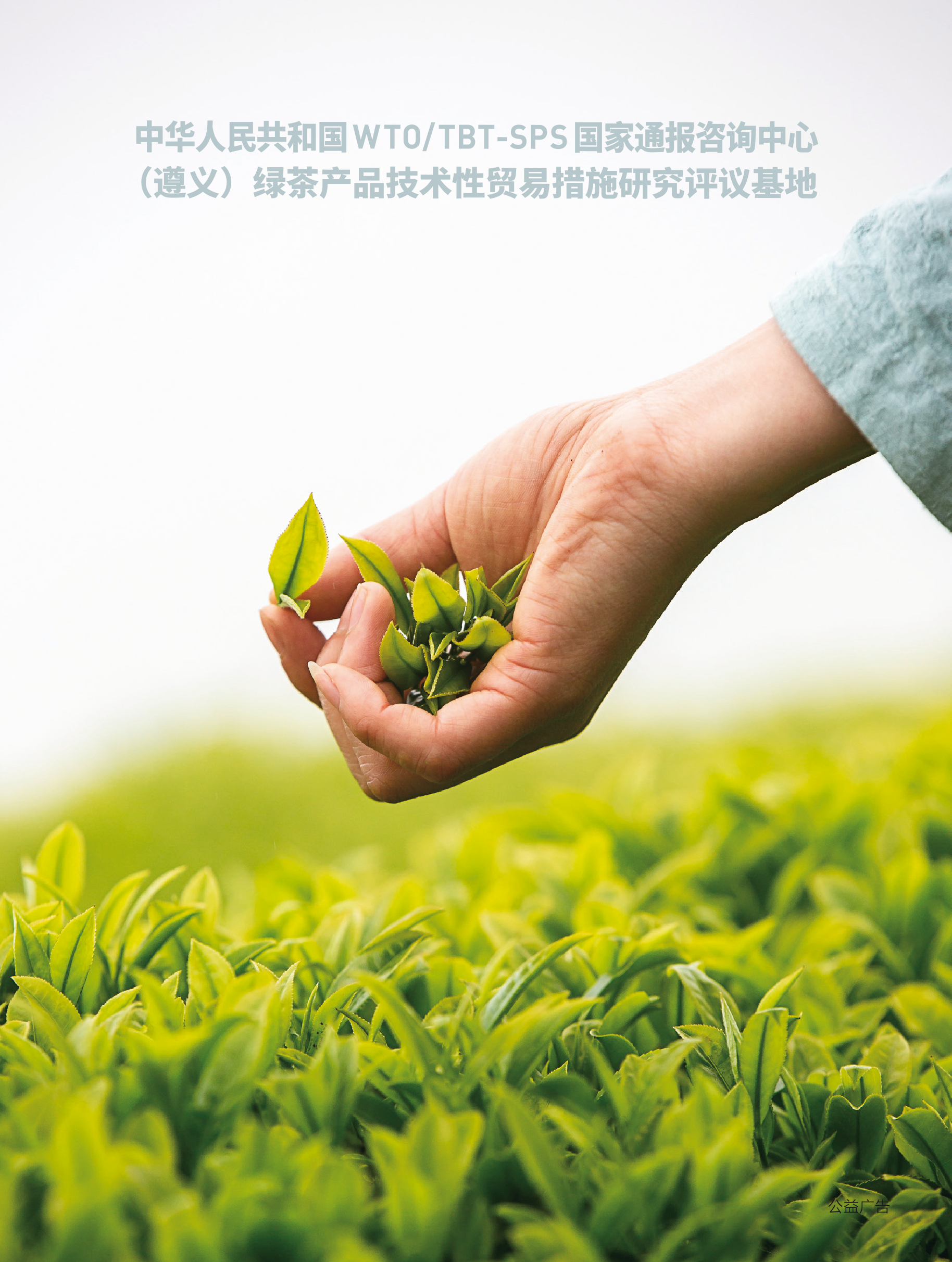 2025年第3期技术性贸易措施导刊 第100页