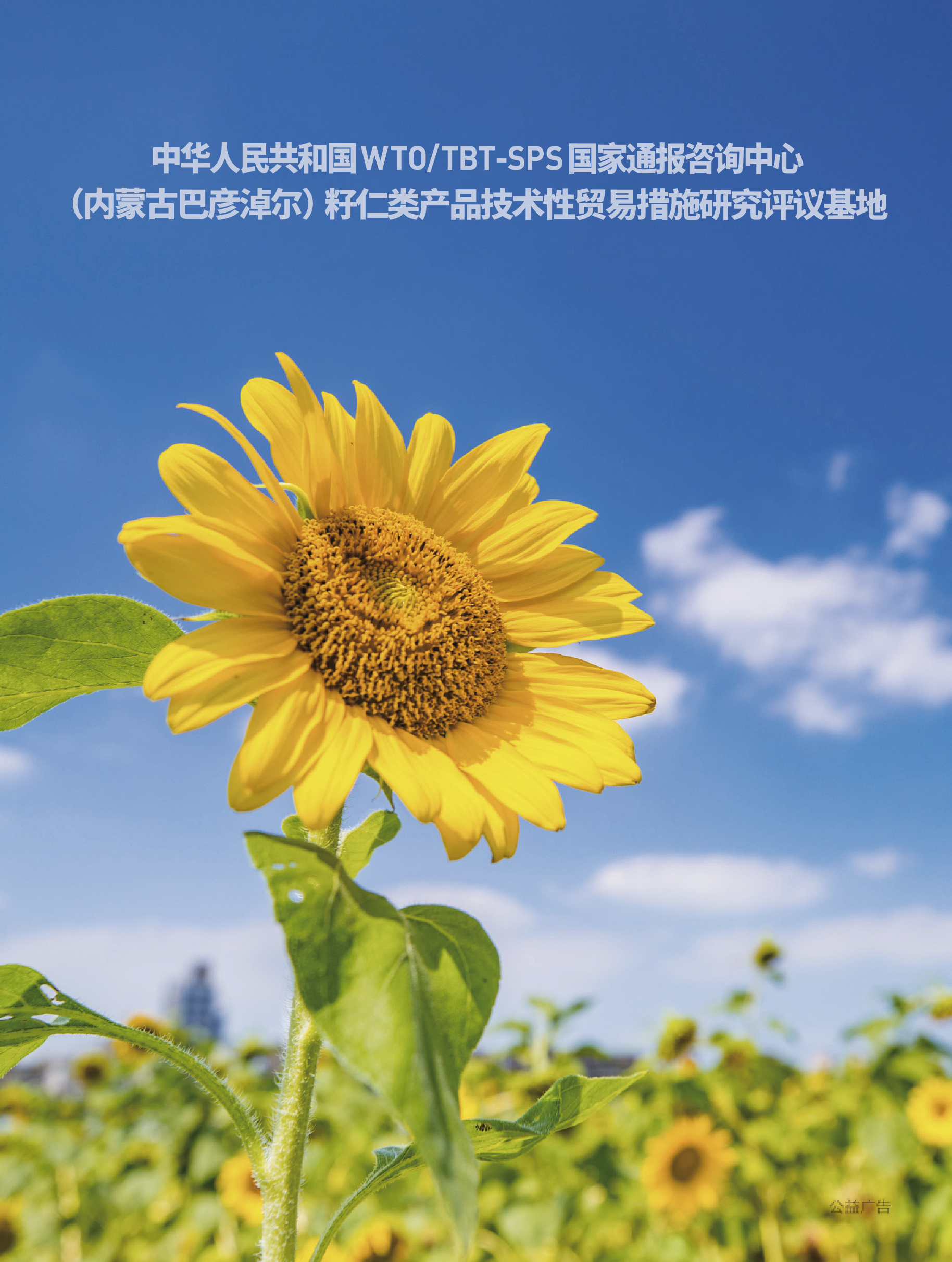 2025年第2期技术性贸易措施导刊 第100页