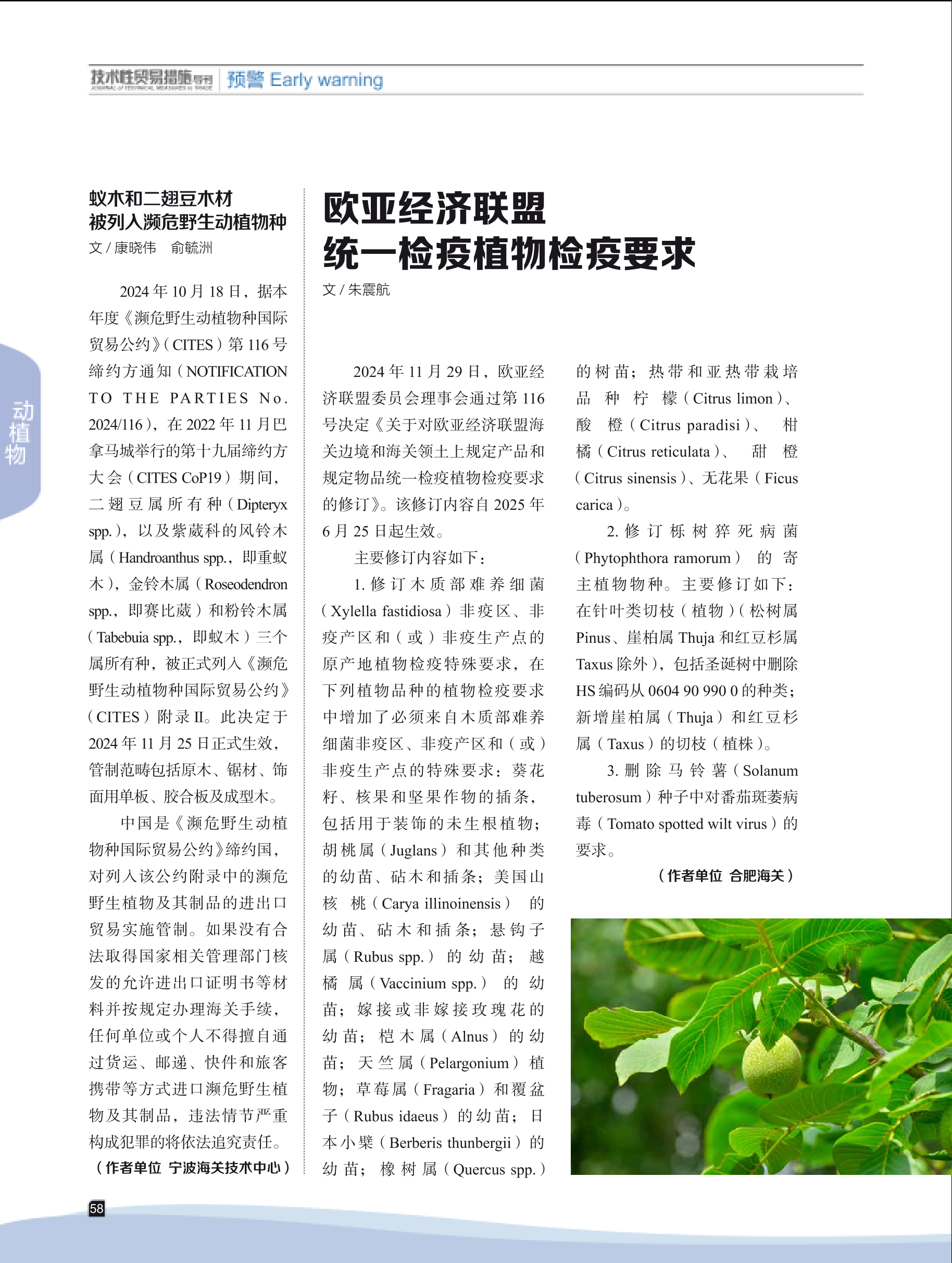 2025年第1期技术性贸易措施导刊 第60页