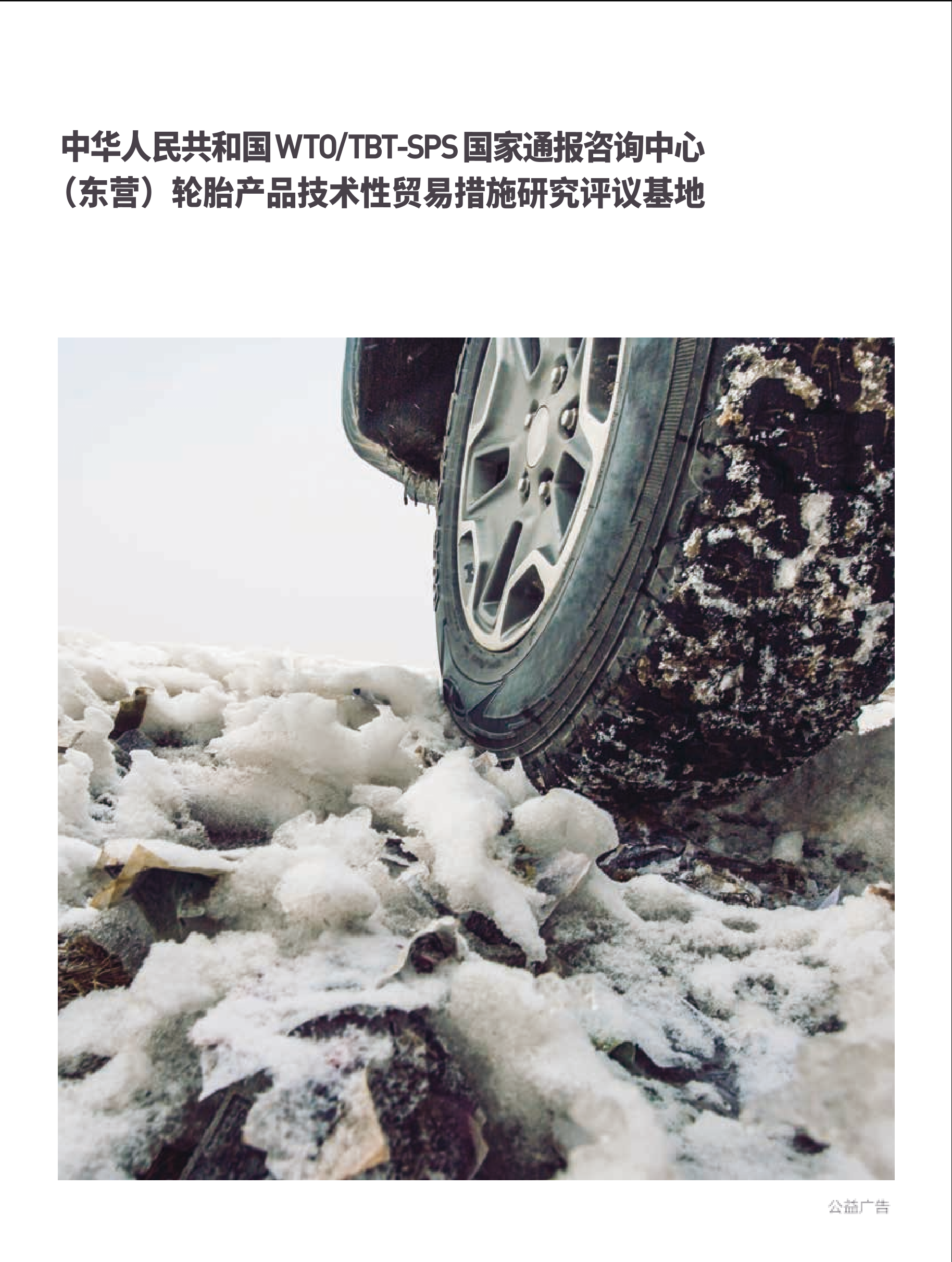 2024年第6期技术性贸易措施导刊 第100页